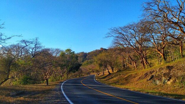 Road amidst trees against clear blue sky