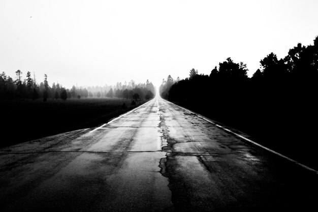 Photo road amidst trees against clear sky