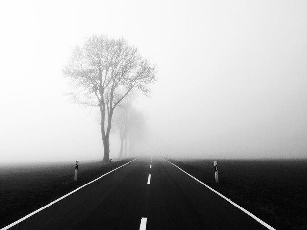 Photo road amidst trees against clear sky