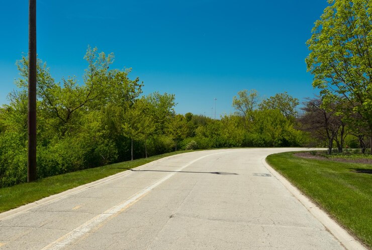 Photo road amidst trees against clear sky