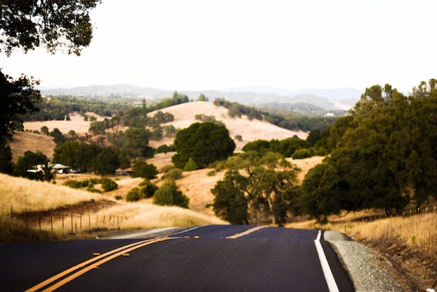 Road amidst trees against clear sky