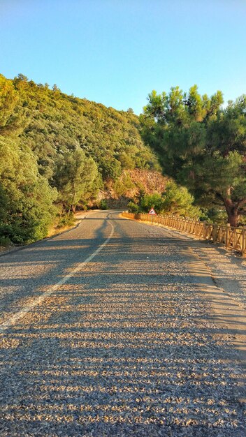 Road amidst trees against clear sky