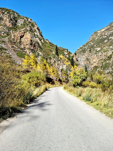 Road amidst trees against clear sky