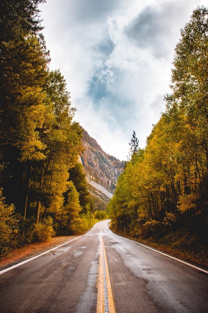 road amidst trees against cloudy sky during autumn