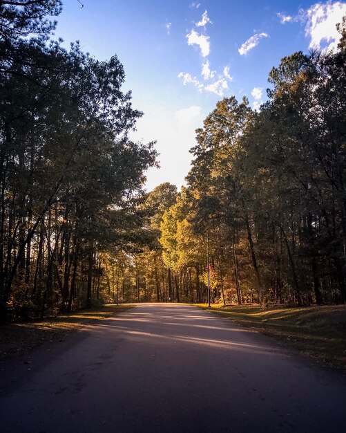 Photo road amidst trees against sky in city