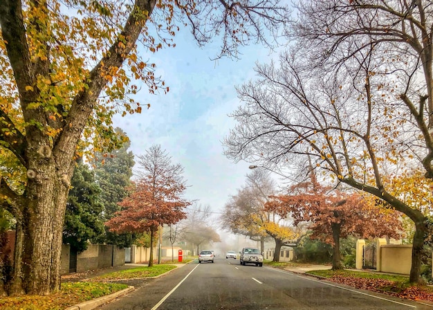 Foto strada in mezzo agli alberi contro il cielo durante l'autunno