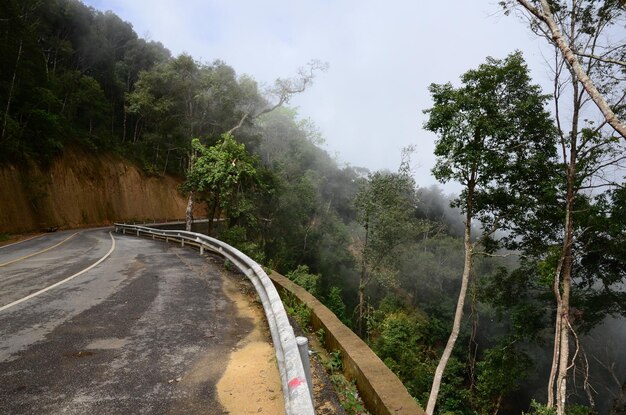 Road amidst trees against sky during rainy season