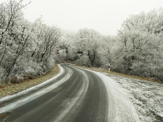 Foto strada in mezzo agli alberi contro il cielo durante l'inverno