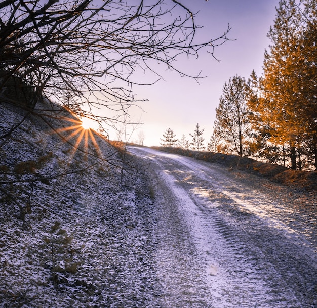 Foto strada in mezzo agli alberi contro il cielo durante l'inverno