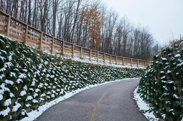 Foto strada in mezzo agli alberi contro il cielo durante l'inverno