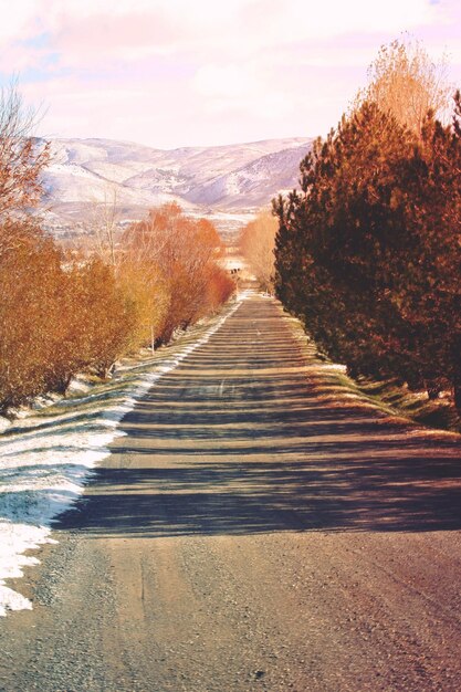 Foto strada in mezzo agli alberi contro il cielo durante l'inverno