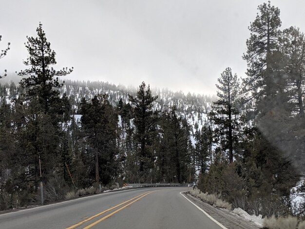 Photo road amidst trees against sky during winter