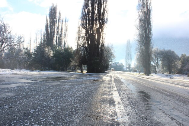 Road amidst trees against sky during winter