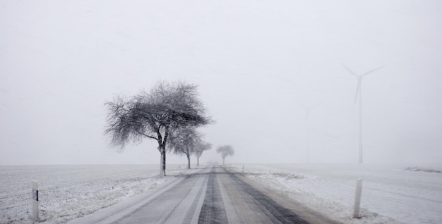 Foto strada in mezzo agli alberi contro il cielo durante l'inverno