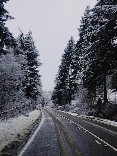 Photo road amidst trees against sky during winter