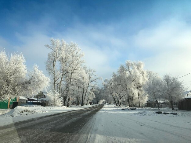 Road amidst trees against sky during winter