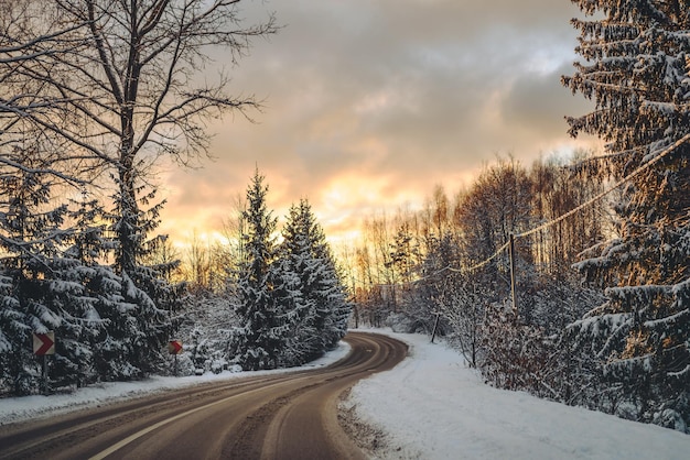 겨울 에 하늘 을 배경 으로 나무 들 사이 의 도로