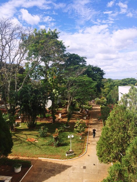 Road amidst trees against sky