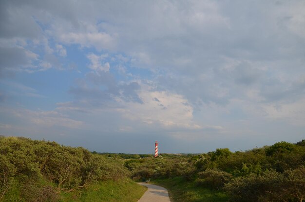 Photo road amidst trees against sky