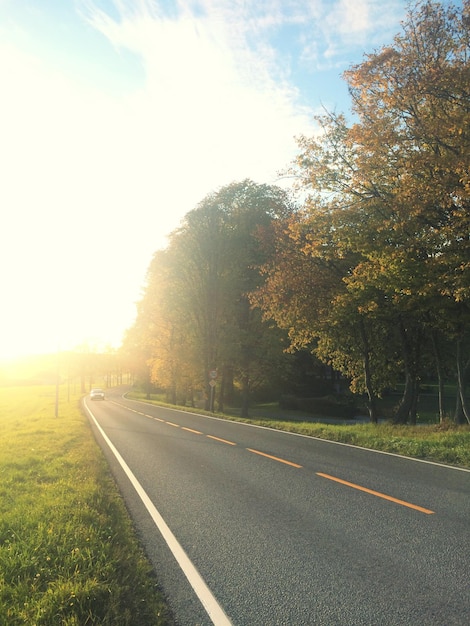 Foto strada in mezzo agli alberi contro il cielo