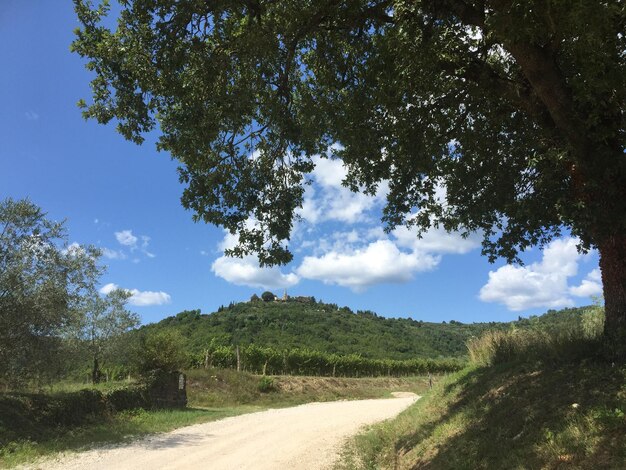 Road amidst trees against sky