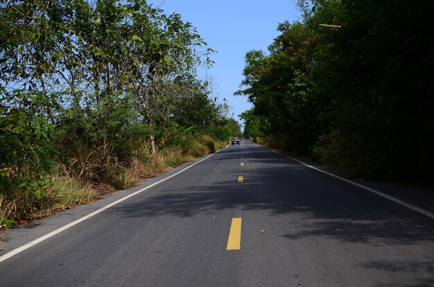 Road amidst trees against sky