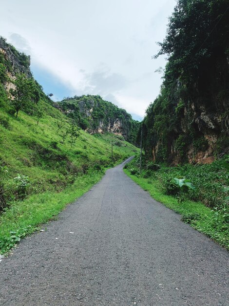 Road amidst trees against sky