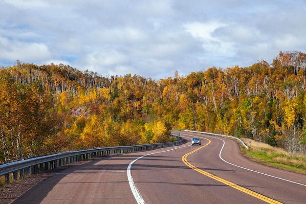 Photo road amidst trees against sky