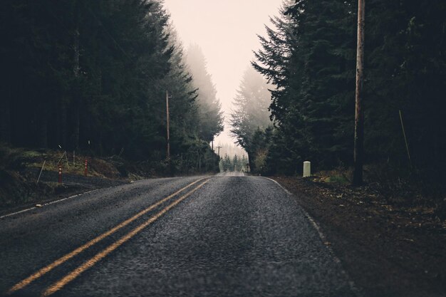 Road amidst trees against sky