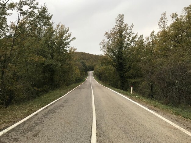 Photo road amidst trees against sky