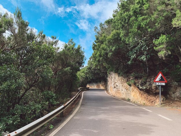 Road amidst trees against sky