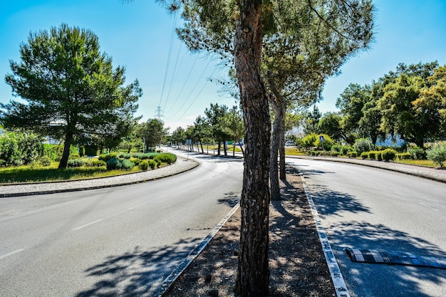 Foto strada in mezzo agli alberi contro il cielo