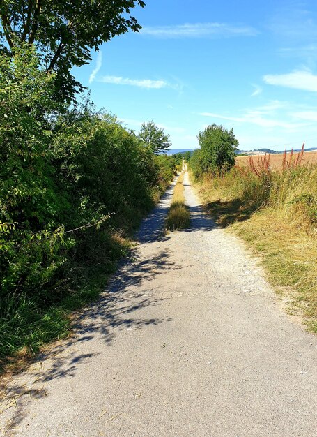 Foto strada in mezzo agli alberi contro il cielo