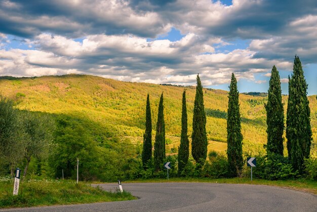 Photo road amidst trees against sky