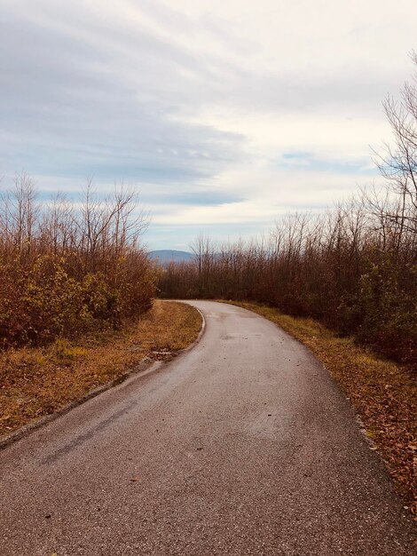 Foto strada in mezzo agli alberi contro il cielo