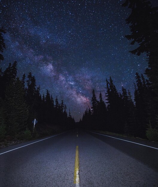 Road amidst trees against star field at night