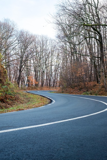 Road amidst trees during autumn