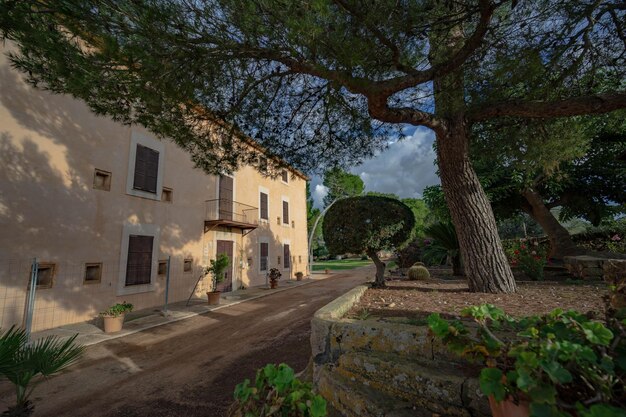 Foto strada tra alberi e edifici contro il cielo