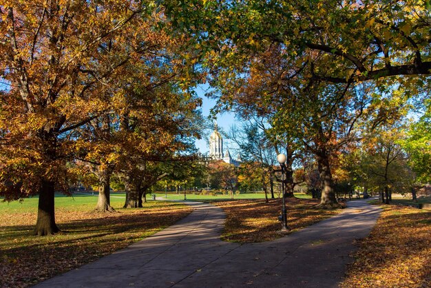 Photo road amidst trees in city during autumn