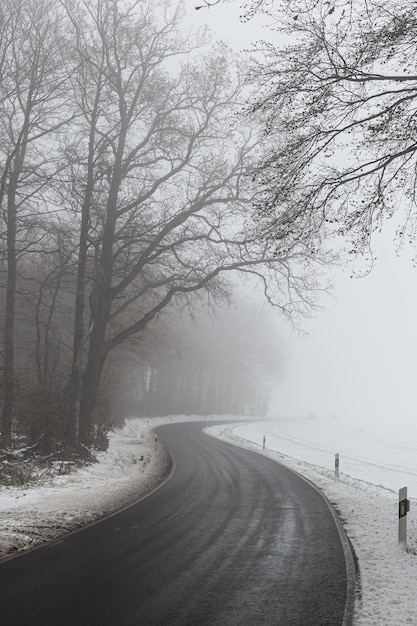 写真 冬の木の中の道路