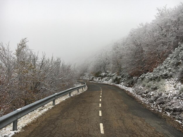 Photo road amidst trees during winter