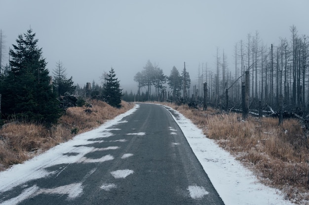 Photo road amidst trees during winter