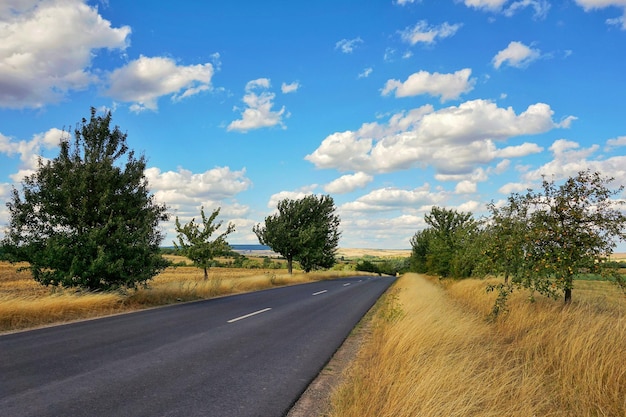 Photo road amidst trees on field against sky