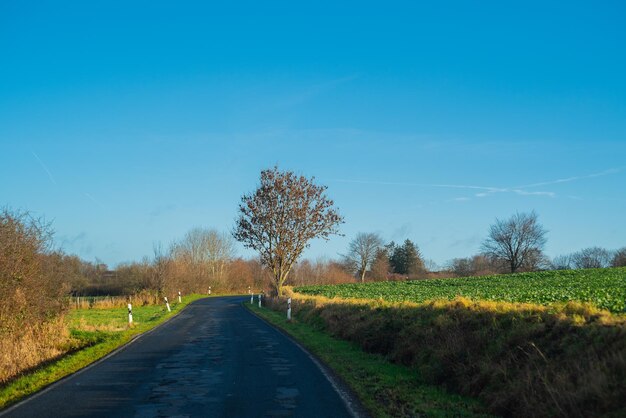 Road amidst trees on field against sky