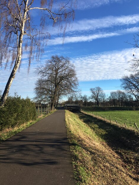 Foto strada in mezzo agli alberi sul campo contro il cielo