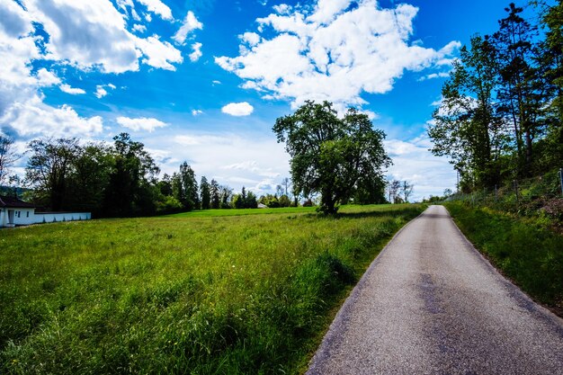 Foto strada in mezzo agli alberi sul campo contro il cielo