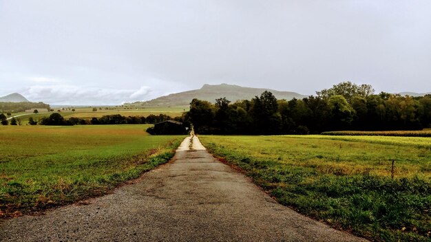 Road amidst trees on field against sky