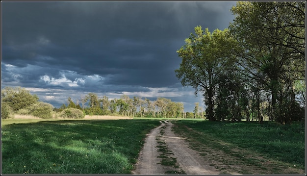 Photo road amidst trees on field against sky