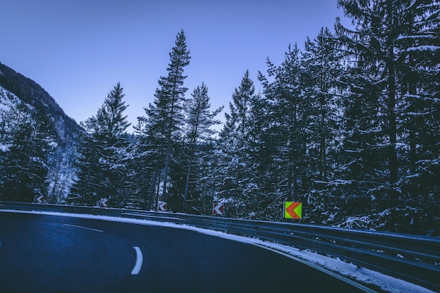 Photo road amidst trees in forest against clear sky