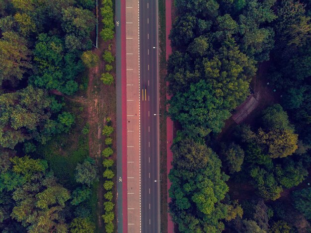 Photo road amidst trees in forest